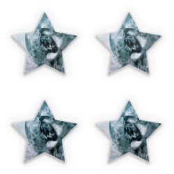 Sticker Set star