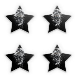 Sticker Set star