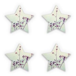 Sticker Set star