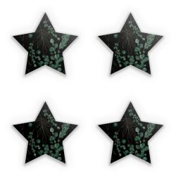 Sticker Set star