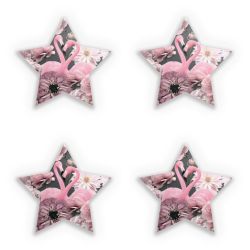 Sticker Set star