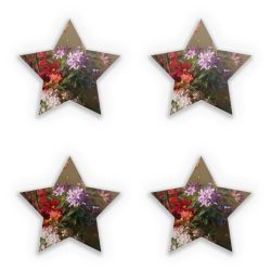 Sticker Set star