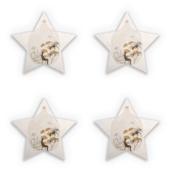 Sticker Set star