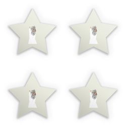 Sticker Set star