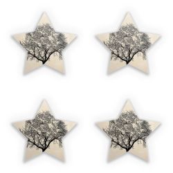 Sticker Set star