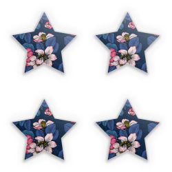 Sticker Set star