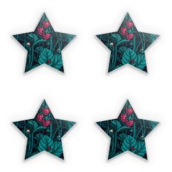 Sticker Set star