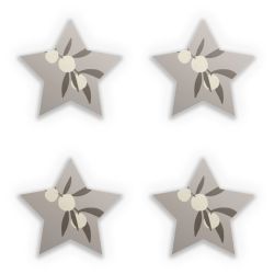 Sticker Set star