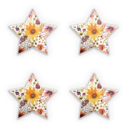 Sticker Set star