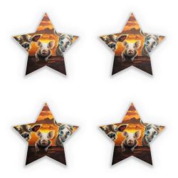 Sticker Set star