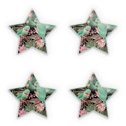 Sticker Set star