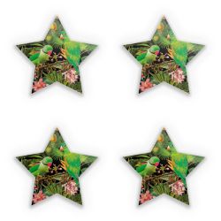 Sticker Set star