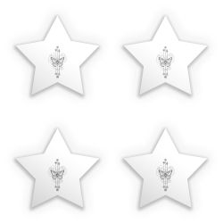 Sticker Set star