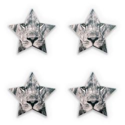 Sticker Set star