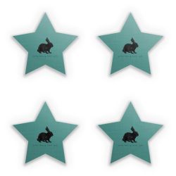 Sticker Set star