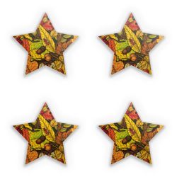 Sticker Set star