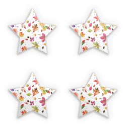 Sticker Set star