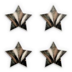 Sticker Set star