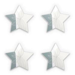 Sticker Set star