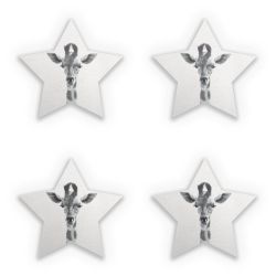 Sticker Set star