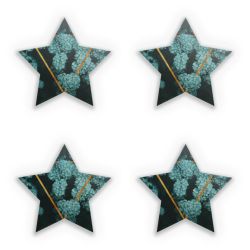 Sticker Set star