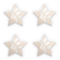 Sticker Set star