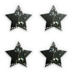 Sticker Set star