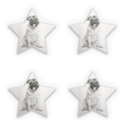 Sticker Set star