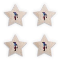 Sticker Set star