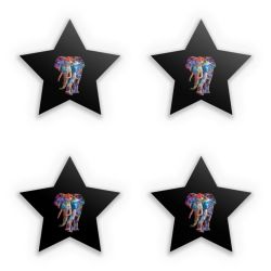 Sticker Set star