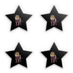 Sticker Set star