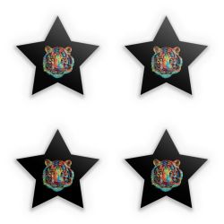 Sticker Set star