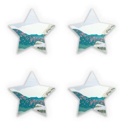 Sticker Set star