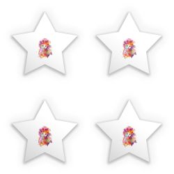 Sticker Set star