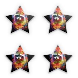 Sticker Set star