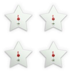 Sticker Set star