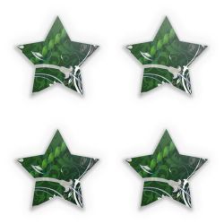 Sticker Set star