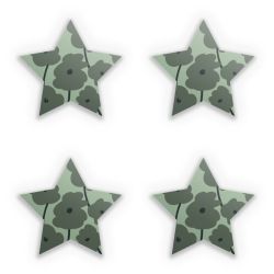 Sticker Set star