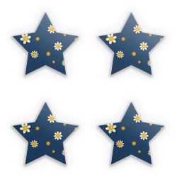 Sticker Set star