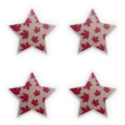 Sticker Set star