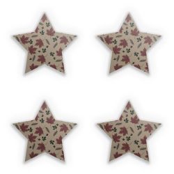 Sticker Set star