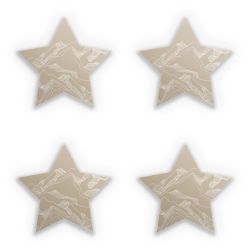 Sticker Set star