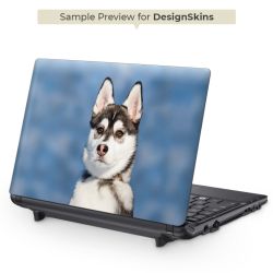 Foils for Laptops glossy
