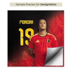 Foils for Smartphones matt