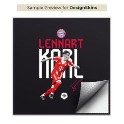 Foils for Smartphones matt