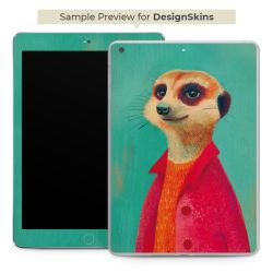 Foils for E-Readers matt