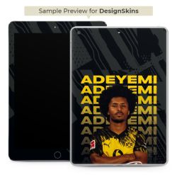 Foils for E-Readers matt