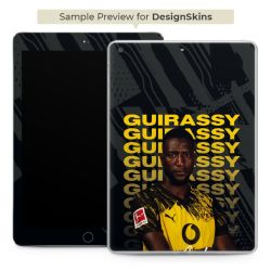 Foils for E-Readers matt