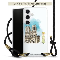 Carry Case Transparent Leather black/gold