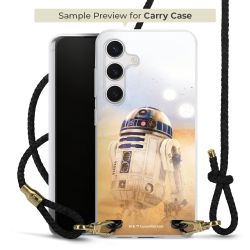 Carry Case Transparent Leather black/gold